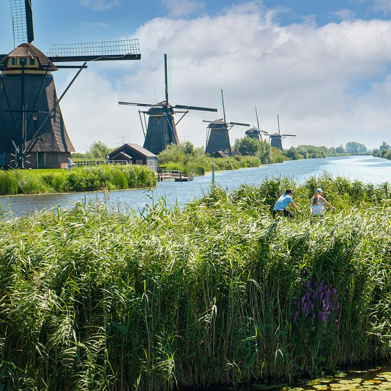 Radfahrer Holland Kinderdijk Windmühlen